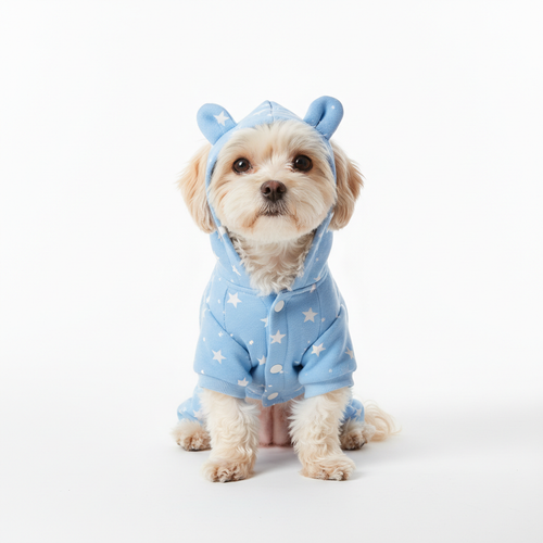 Dog wearing light blue star print pajamas