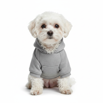 Small dog wearing gray hoodie with front pocket